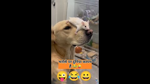 भरोसे पे दुनिया कायम