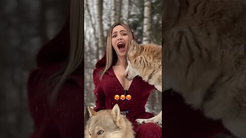 Funny Animals #funnyanimals #animals #pets #shorts