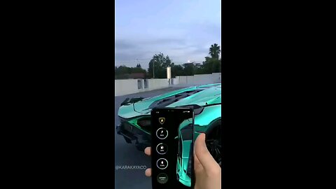 Lambourghini sian shorts