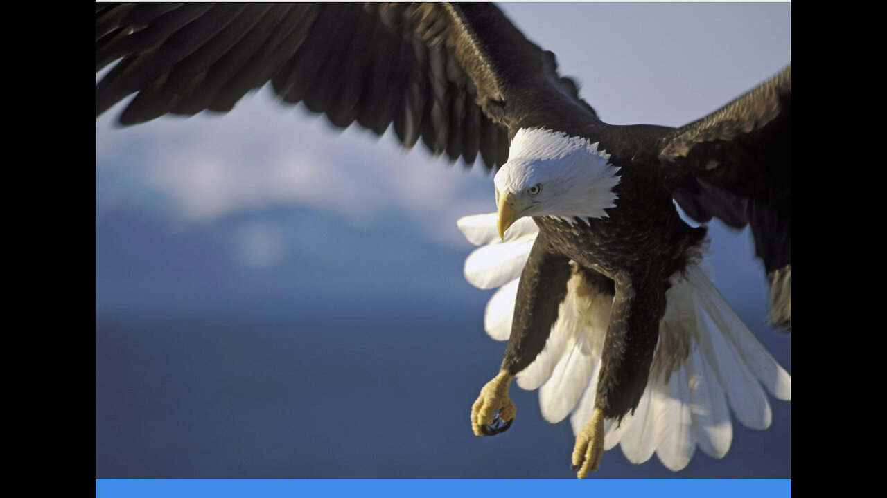 25.07.03 Tom's Take - Soaring Like Eagles