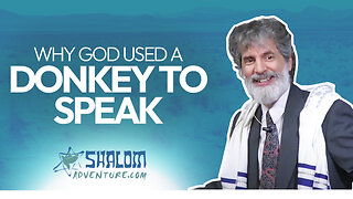 Numbers 22: Balaam the Jackass | Shalom Adventures