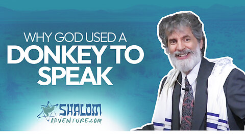 Numbers 22: Balaam the Jackass | Shalom Adventures