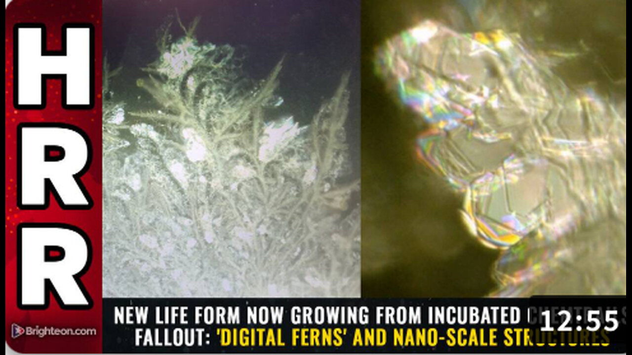 New life form now growing from incubated chemtrails fallout: 'DIGITAL FERNS'