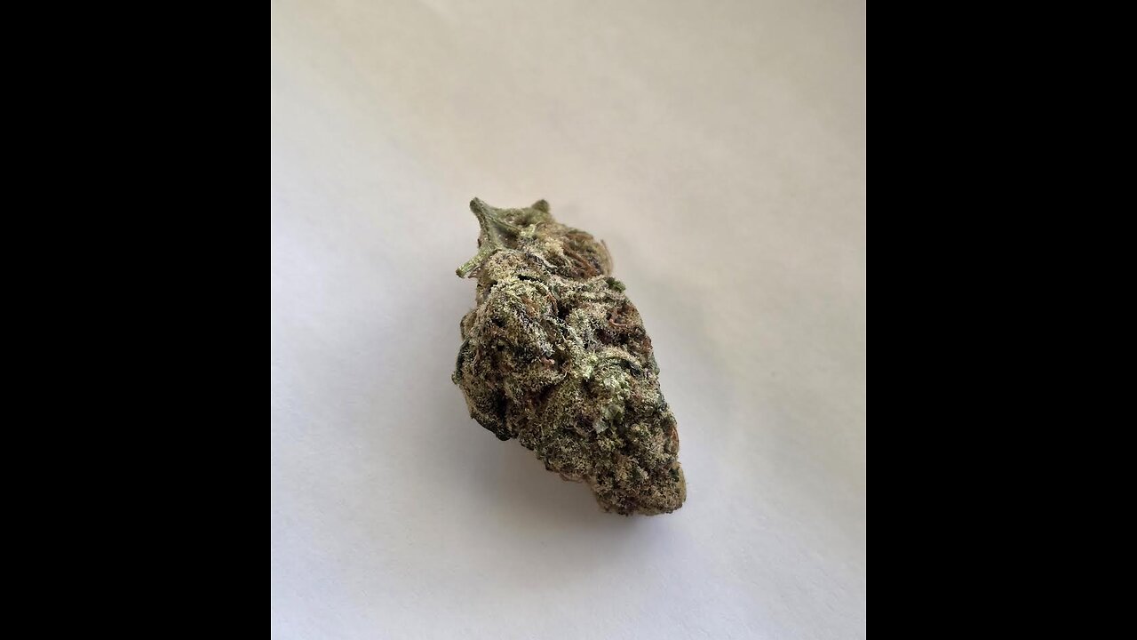 Blue Rhino THC Flower buy in Madison WI