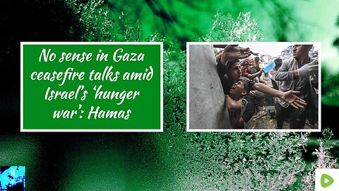 No sense in Gaza ceasefire talks amid Israel’s ‘hunger war’: Hamas