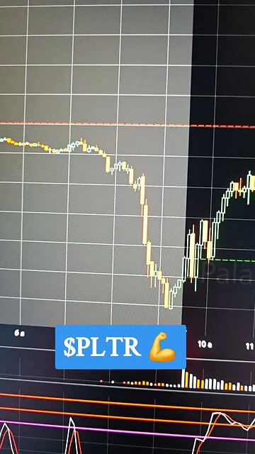 $PLTR 💪