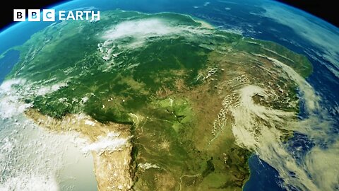Soothing ASMR Sounds of The Pantanal | Animal ASMR | BBC Earth