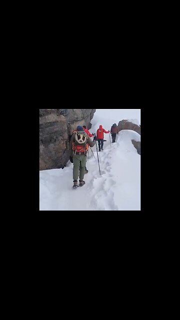 Al Gore, Womp Womp! Mt. Kilimanjaro In 2025 With Thick Snow Covering Literally Everywhere: Part 1