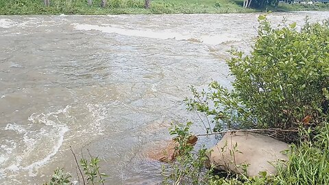high water river wave ride