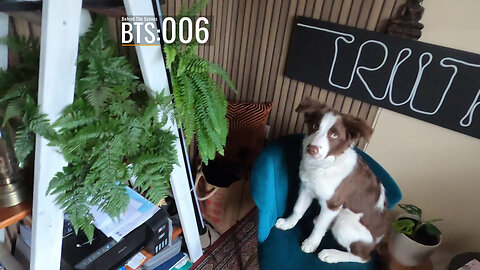 BTS006 - Last Minute Preparations Before Season 2 goes Live! 9th April 2025