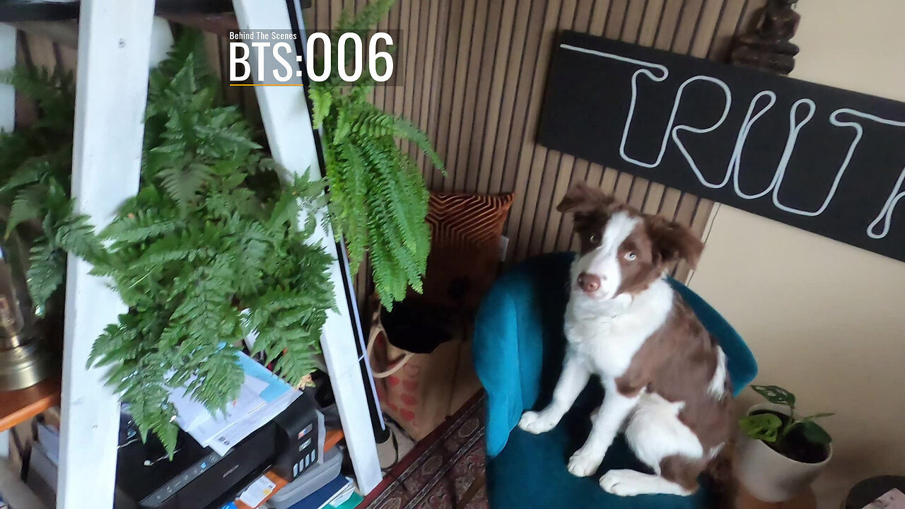 BTS006 - Last Minute Preparations Before Season 2 goes Live! 9th April 2025