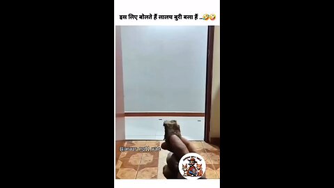 इसलिये बोलते हे लालच बुरी बला है