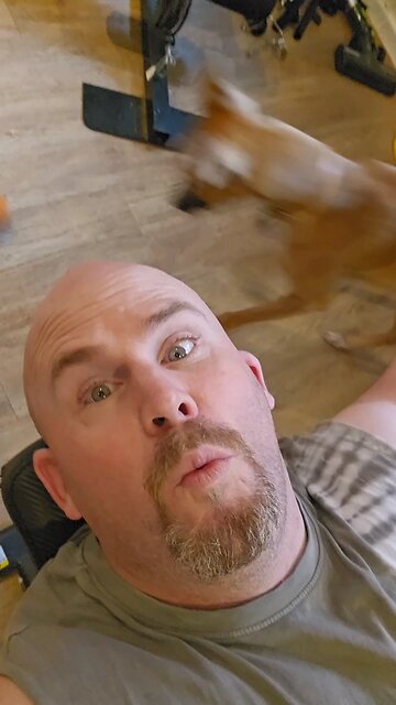 what muscle group am I working today