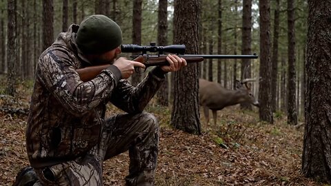Wild Deer Hunter in the Forest: Chase in the Wilderness.