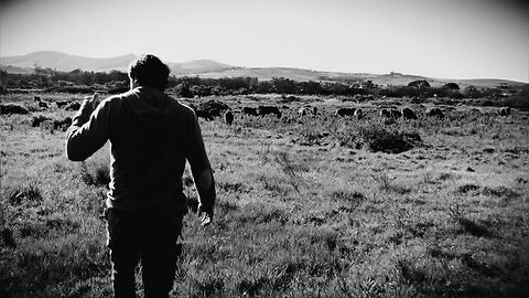Farmer Angus on why regenerative farming is an agricultural solution