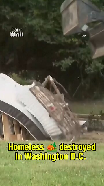 D.C. Homeless Camps are Cleared: A Tragic Cycle of Poverty