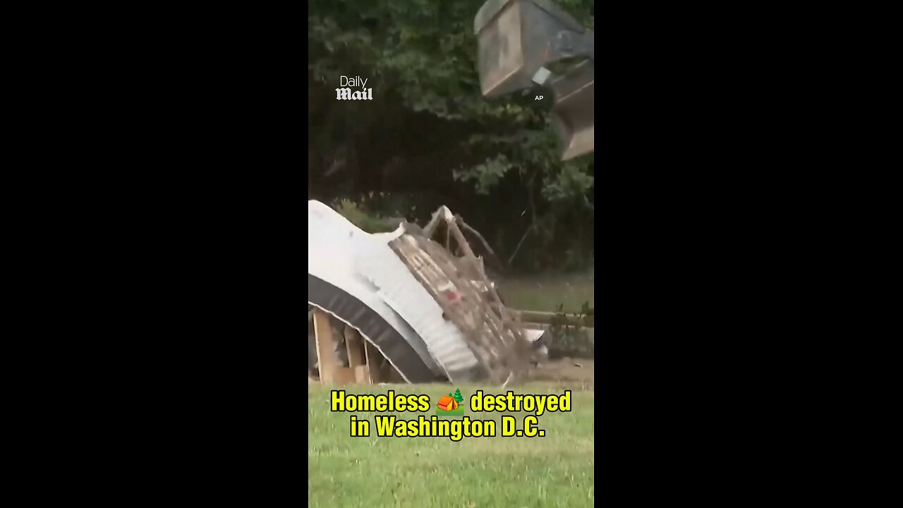 D.C. Homeless Camps are Cleared: A Tragic Cycle of Poverty