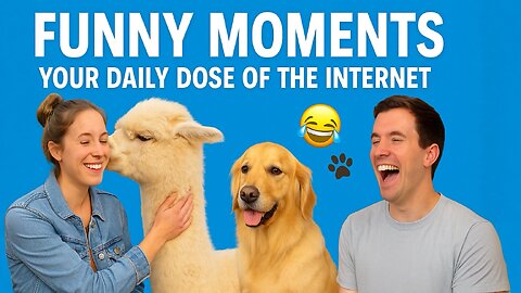 Funny Moments - Your Daily Does of the Internet 😂🐾