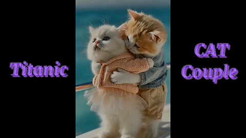 Titanic💗Cat😻Lovers🥰