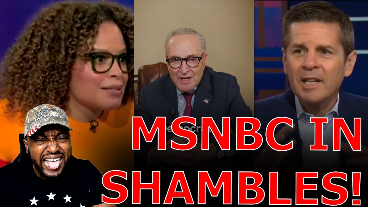 MSNBC & Liberals RAGE Against Democrats LOSING TO TRUMP After Schumer Caves On SHUTDOWN FOR NOTHING!