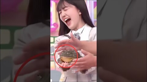 Funny Animals #funnyanimals #animals #pets #shorts