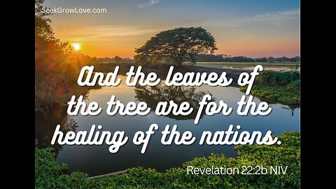 Advent Midweek Vespers I