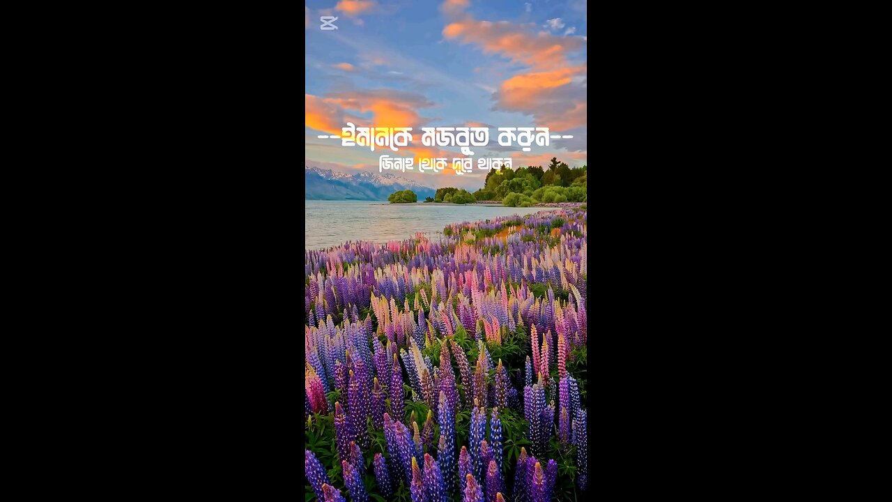 জিনাহ করা থেকে দূরে থাকুন