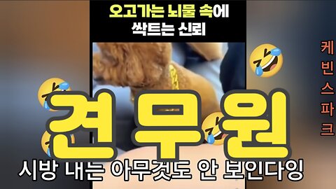 이 세상이 개같은 이유