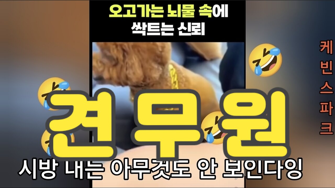 이 세상이 개같은 이유
