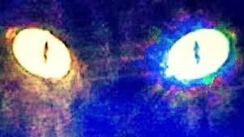 The Cat Creature-Meredith Baxter, David Hedison, Gale Sondergaard, John Carradine-1973 IMDb 5.7/10