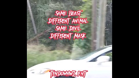 TenDown WJ Ent