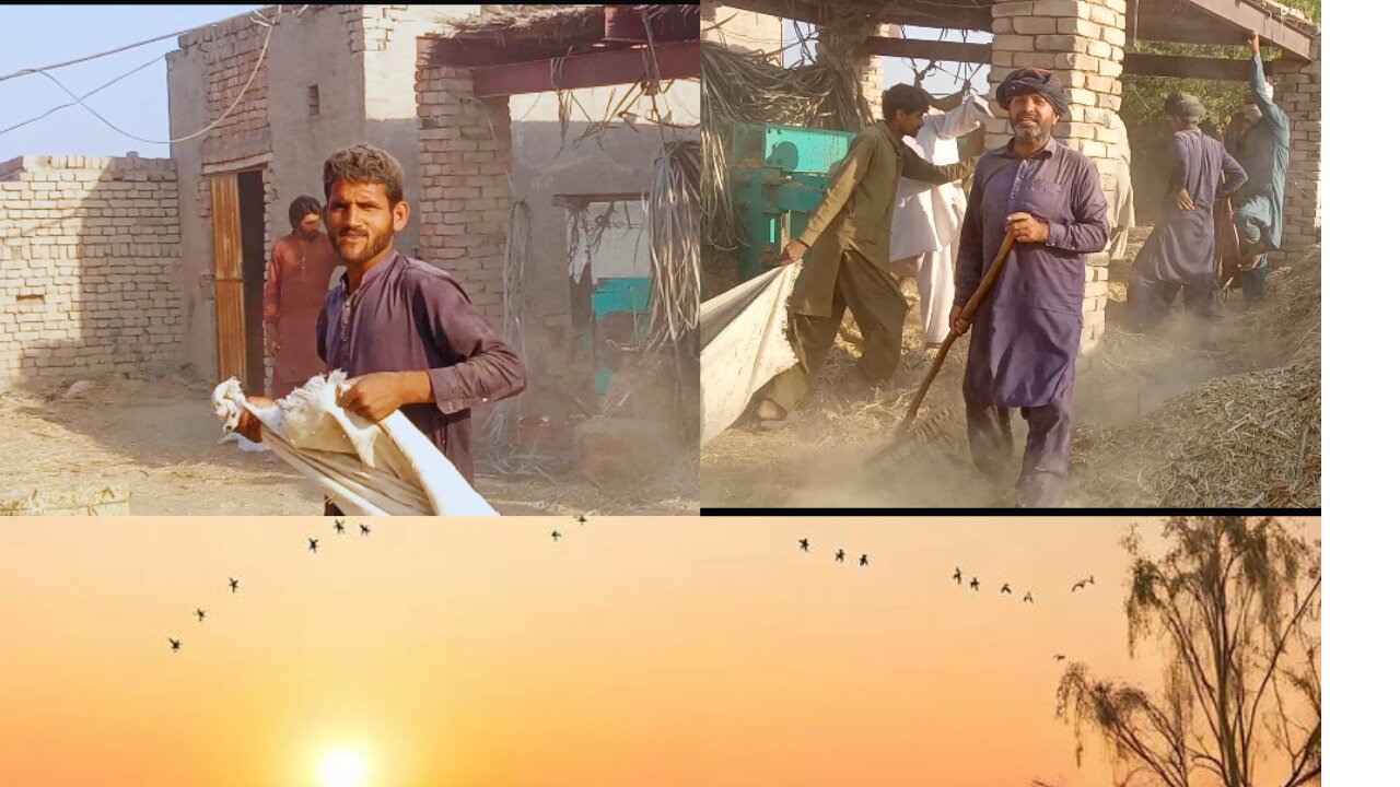 Hardworking Farmers Loading and Stacking Hay Bales – Rural Life in Action