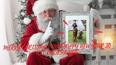 Merry Christmas and Happy New Year to all Dachshund dogs and puppies pet Videos