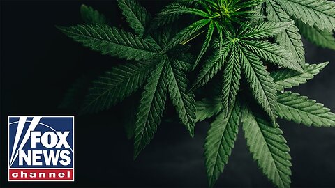 Cannabis risks in spotlight as celebrity athletes push for marijuana reform