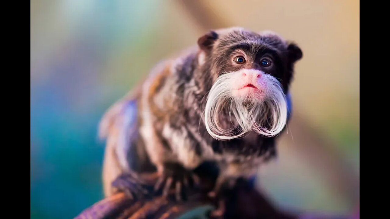 NEW STUDY - DOPE MAKES YOU STUPID, LAZY & PARANOID