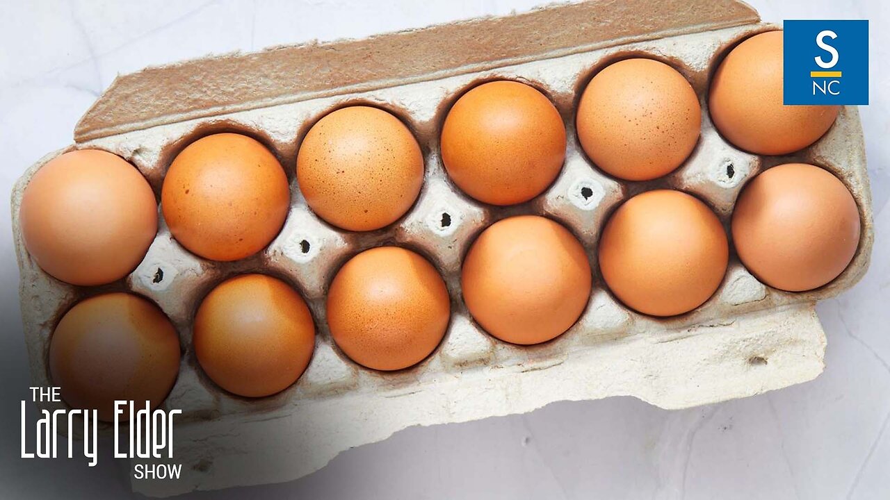 Egg Prices Have Fallen