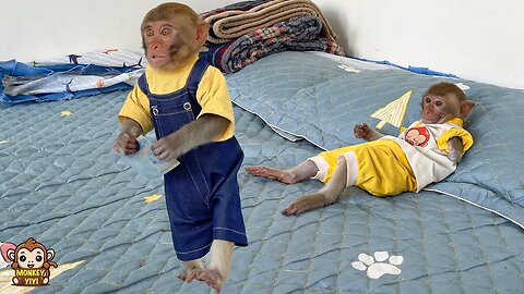 Monkey YiYi takes the money to buy cake for YinYin while he is sleeping