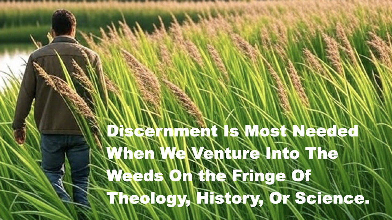 516 Discernment in the Weeds