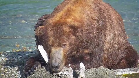 Napping With 747 | Relaxation to Help You Sleep