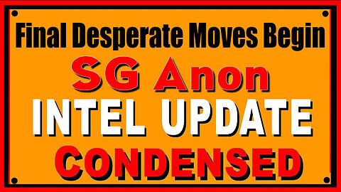 SG Anon Excellent Report 3.14.25 - Final Desperate Moves Begin