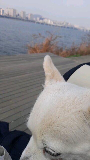 20251124. Jesus Christ Is Lord.