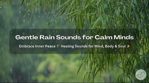 1 Hour Gentle Rain Sounds for Sleep, Relaxation, Focus and Calm Minds