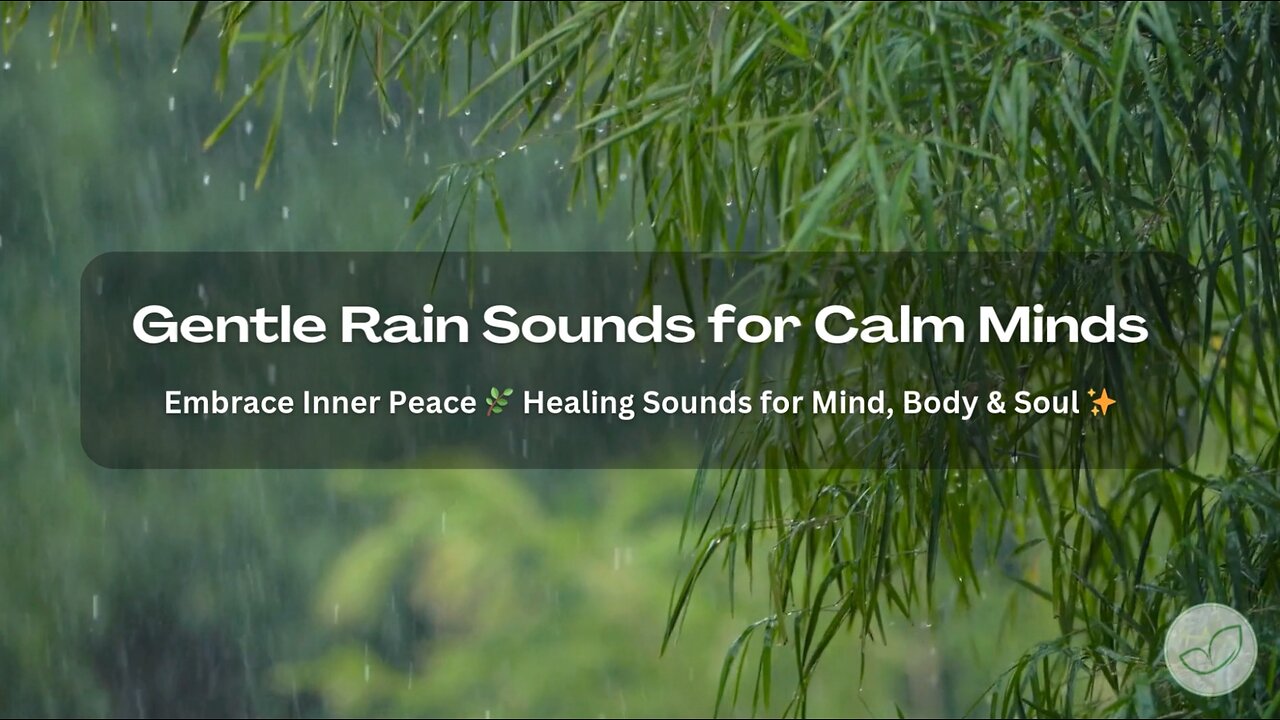 1 Hour Gentle Rain Sounds for Sleep, Relaxation, Focus and Calm Minds