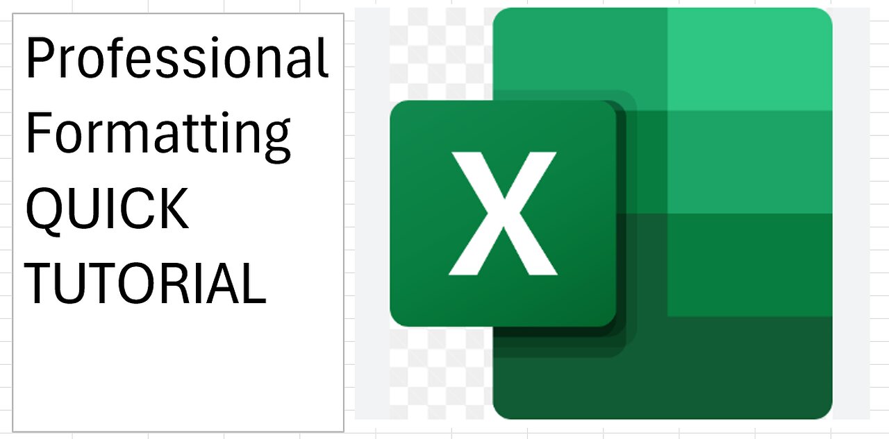 Professional Formatting in Microsoft Excel