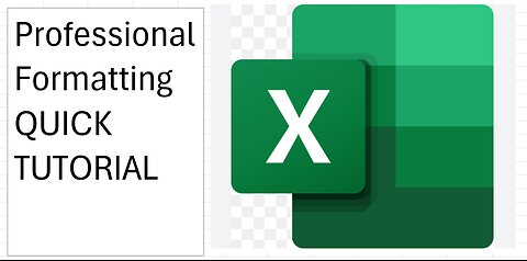 Professional Formatting in Microsoft Excel