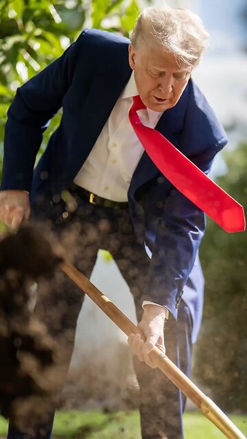 President Trump Plants a Jackson Magnolia Tree