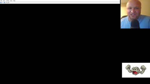 TOTAL TEAM WIPE! Pokemon White Thieflocke 2025 Christmas Project - 6