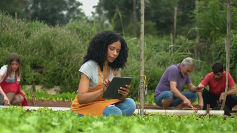 Universal Basic Income and Universal High Income: A path to Prosperity in the age of AI