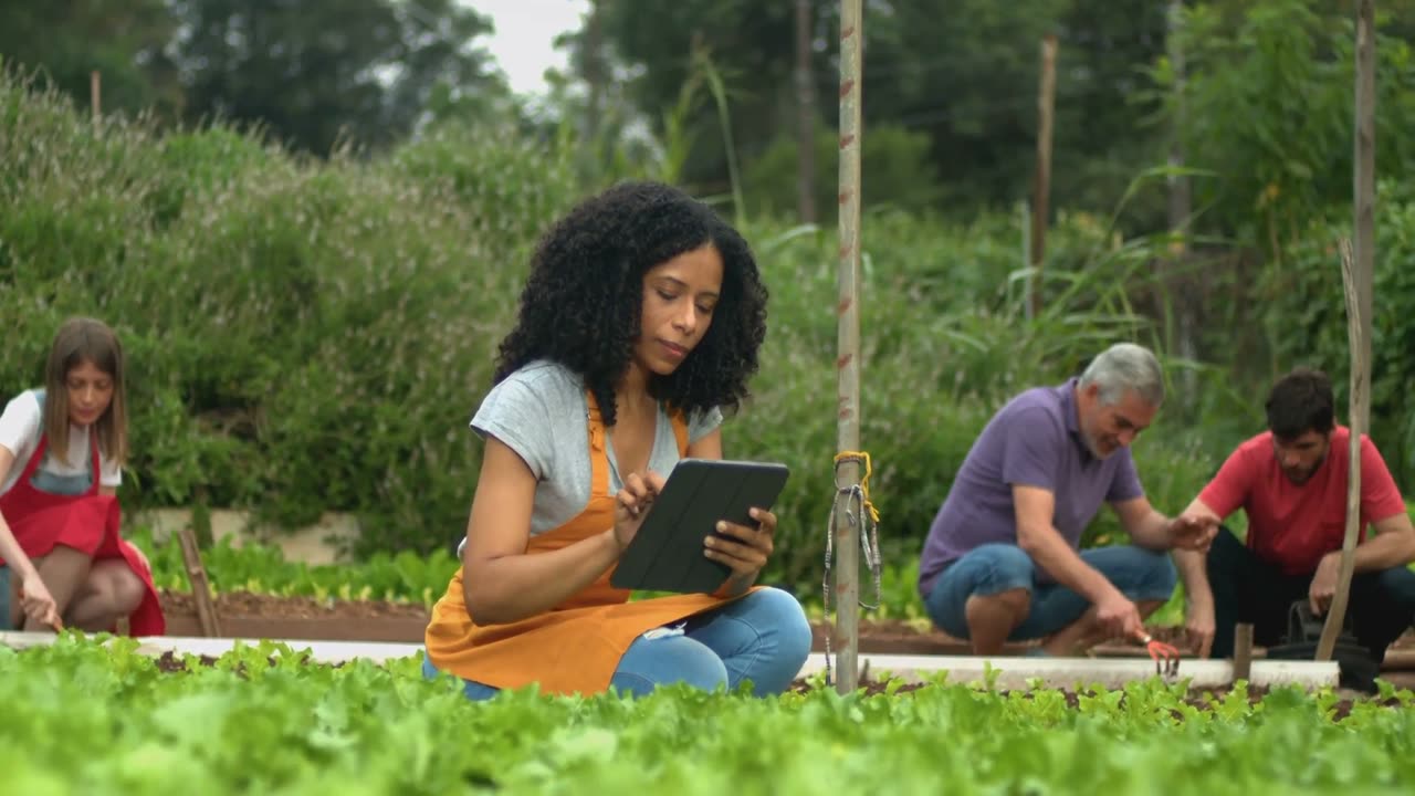 Universal Basic Income and Universal High Income: A path to Prosperity in the age of AI