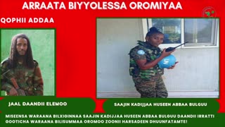 Qophii Addaa ONM-ABO Sadaasa 20-2025 itti dhiyaadhaa!